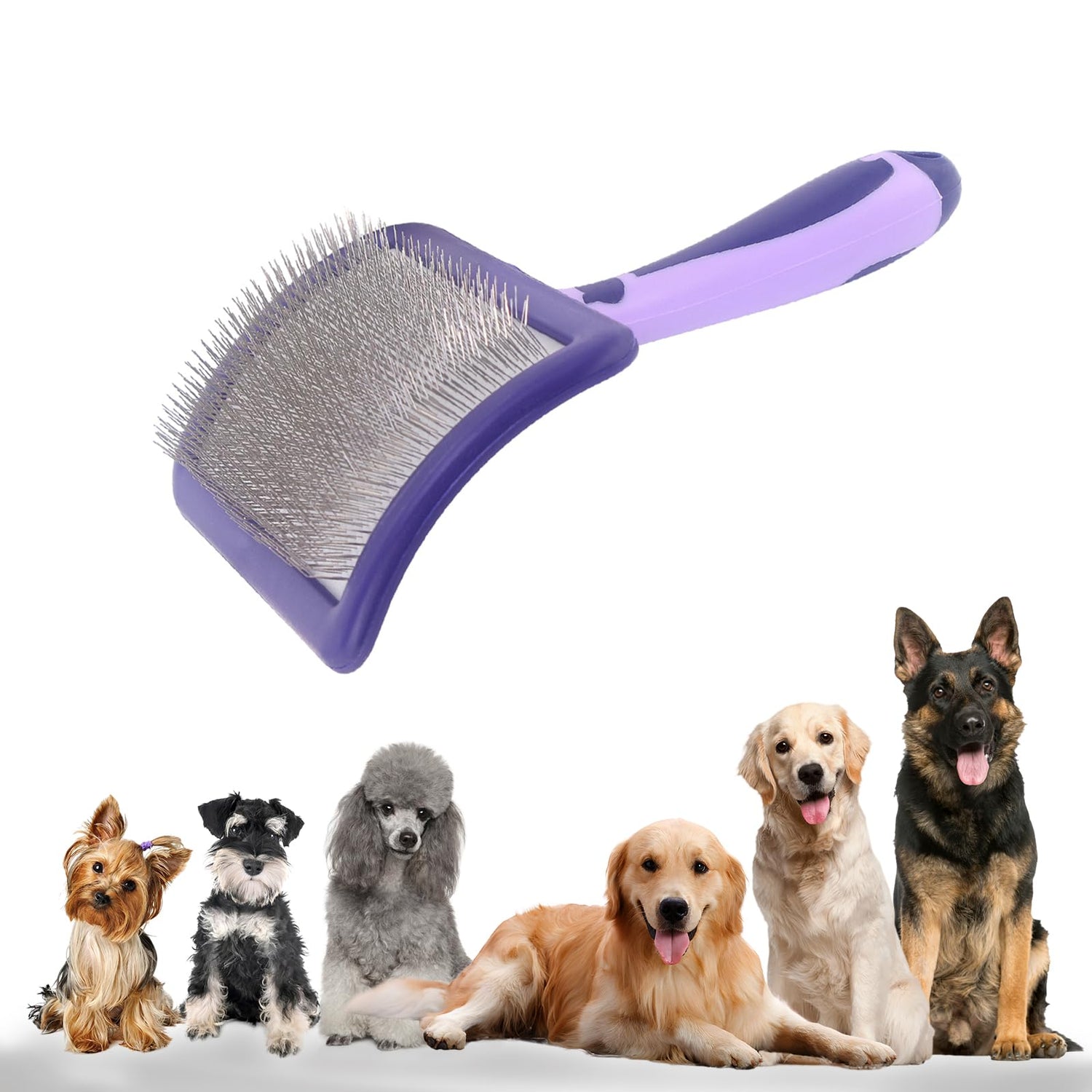 Dog Brushes