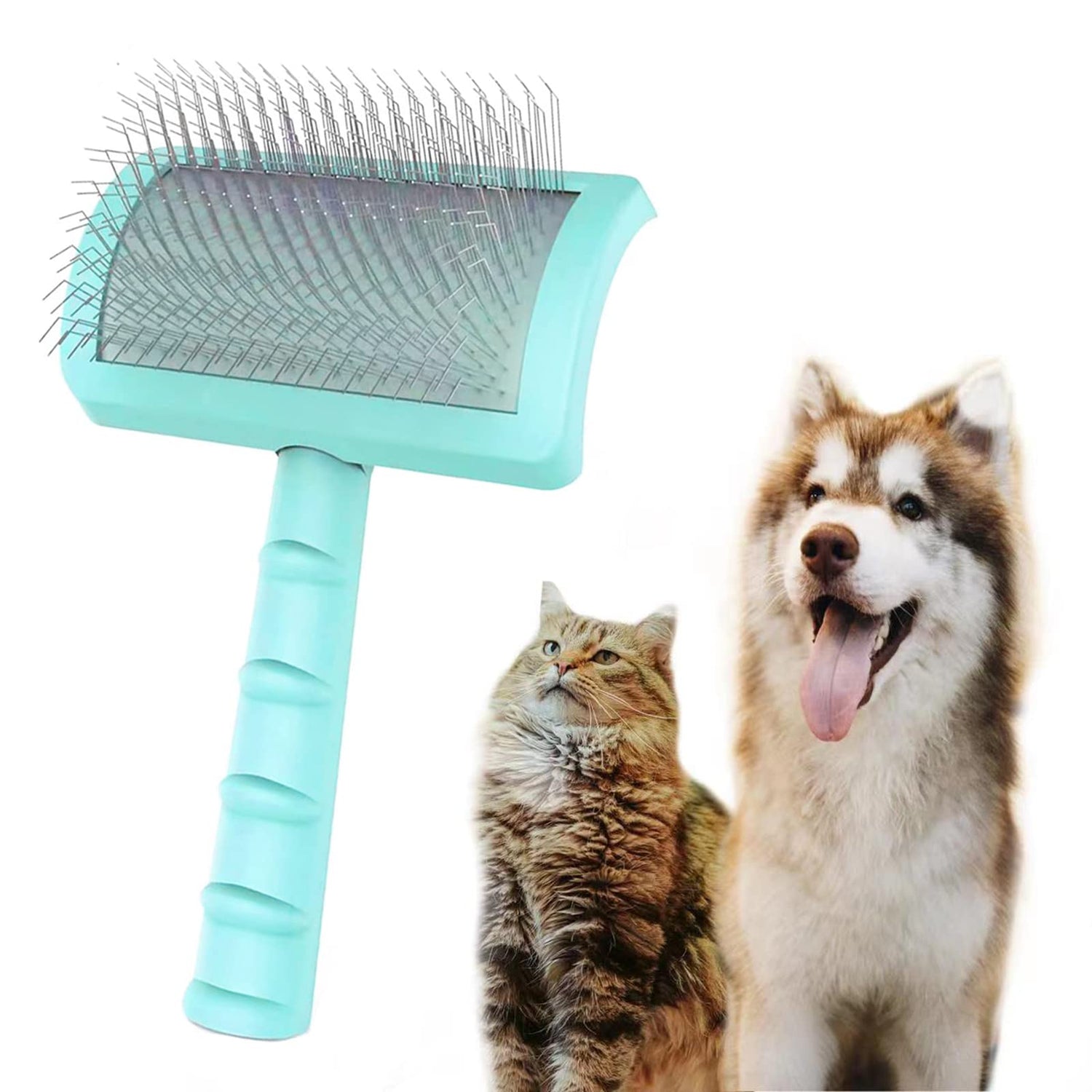 Pet Grooming