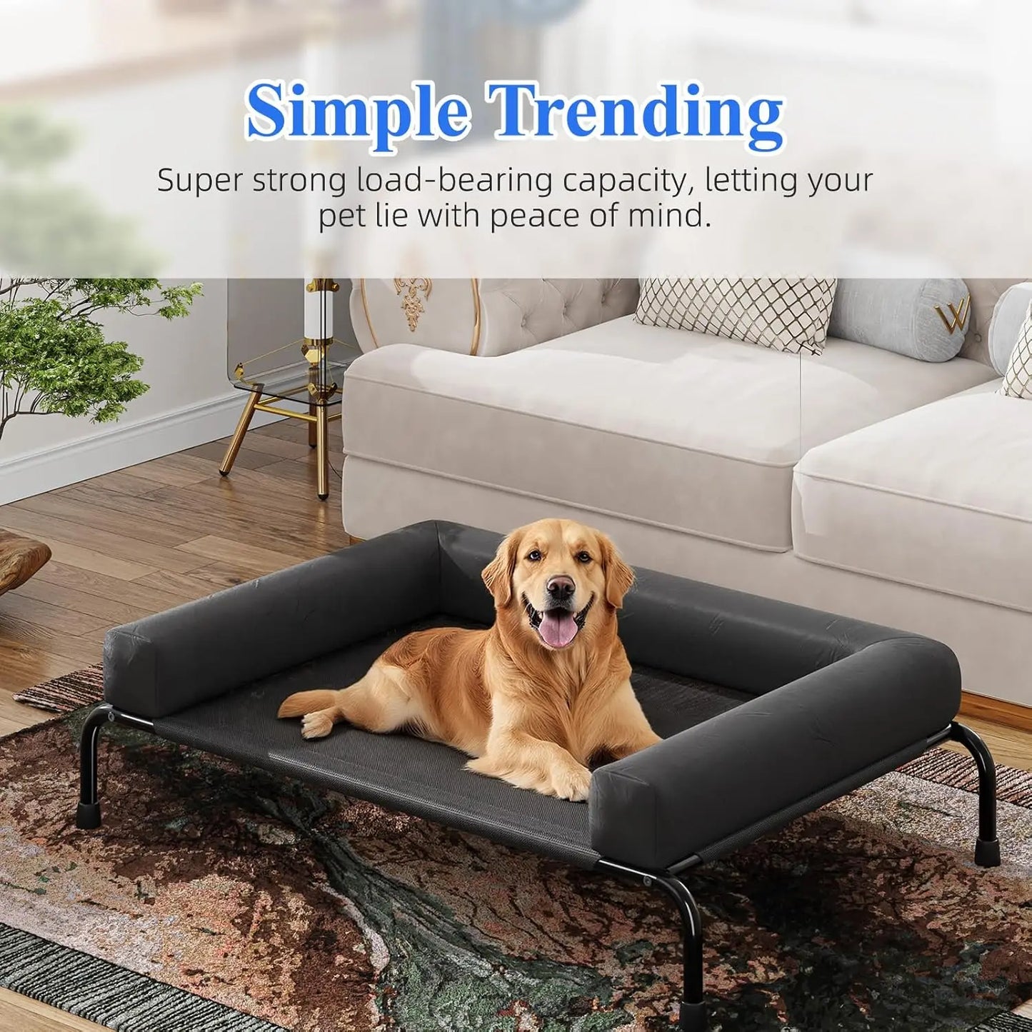Elevated Cooling Dog Bed for Large Dogs, Breathable Outdoor Pet Cot with Bolsters, 47.75" x 31", Black